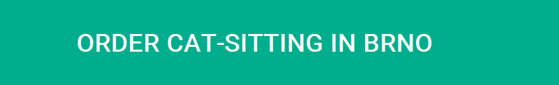 ORDER CATSITTING BRNO