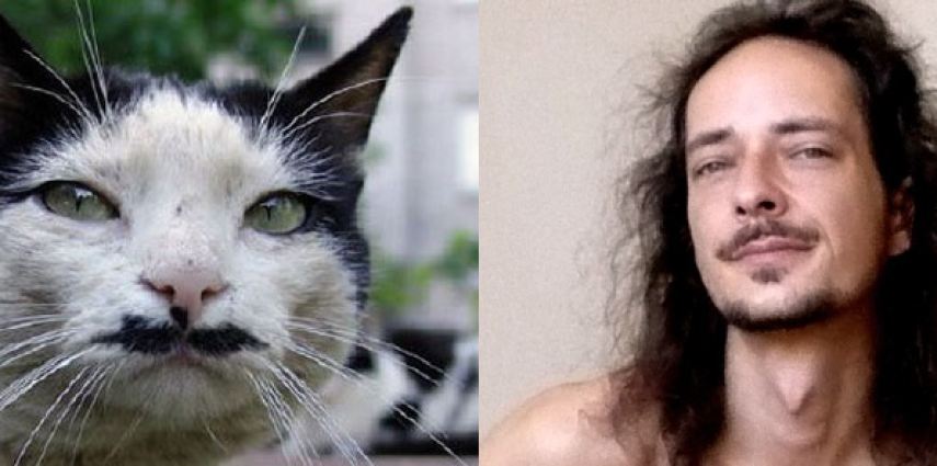 11 cats that have a human twin