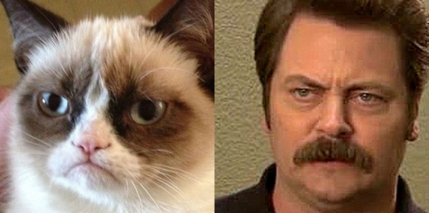 11 cats that have a human twin