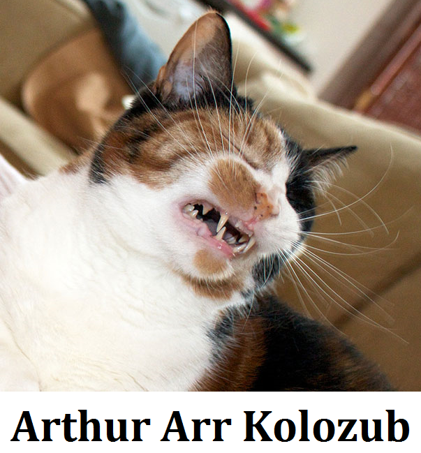 Arthur Arr Kolozub