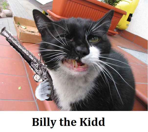 Billy the Kidd