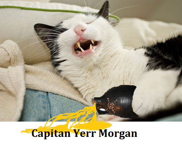 Capitan Yerr Morgan