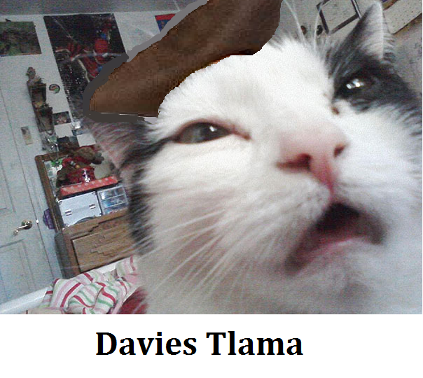 Davies Tlama