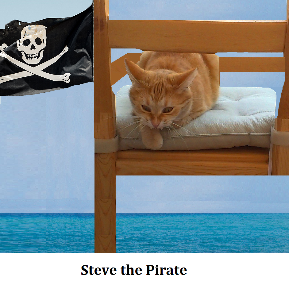 Steve The Pirate