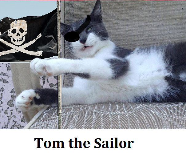 Tom the sailor