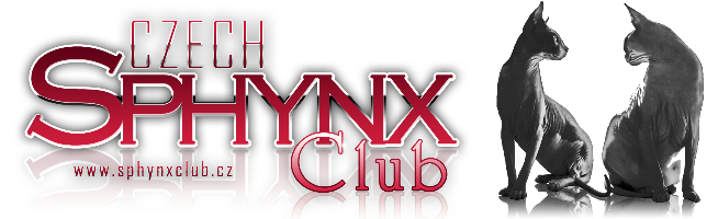 don sphynx club