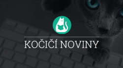 Přimňoukněte se do odběru kočičích novinek!