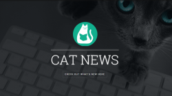 MEOW UP TO OUR CAT NEWSLETTER!