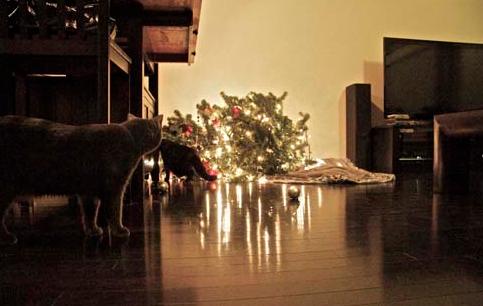 cats-vs-christmas-tree