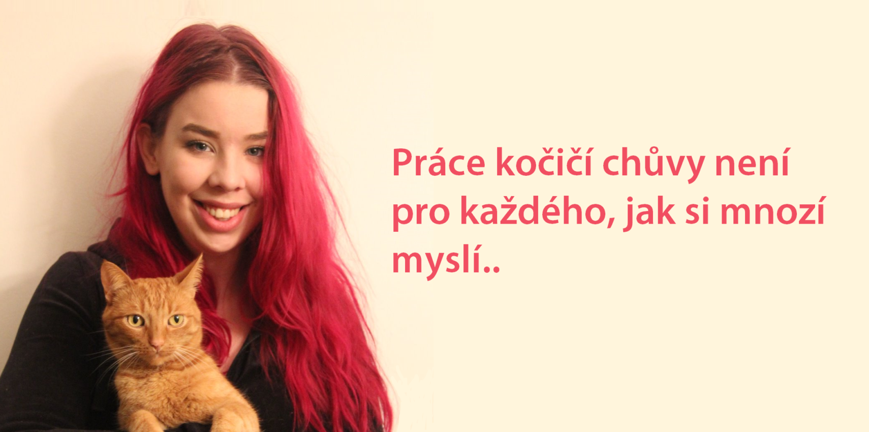 Koťata seznamovací web